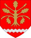 Blason de Finstr&ouml;m