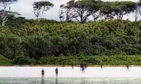 Photo de l'&Icirc;le de North Sentinel