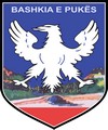 Blason de Puk&euml;