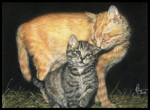 CALIN �Pastel 2001