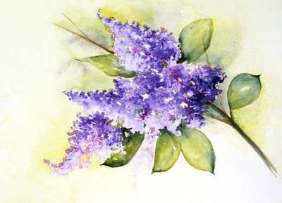 &oelig;uvre de Genevi&egrave;ve Constant-Molle