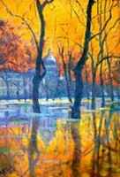 Mon amour, Saint Petersbourg