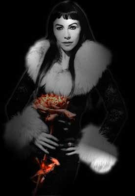 franca ma� le site