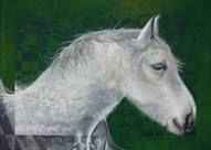 Vers la libert&eacute;