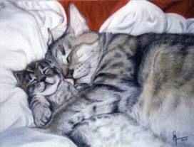 LA TENDRESSE � Pastel sur velours 2002