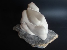 C&oelig;urs &agrave; Blanc