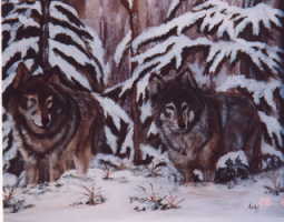 loups a l'or&eacute;e du bois