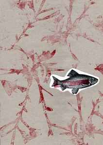 r&eacute;alisation d'Oph&eacute;lie De Cicco