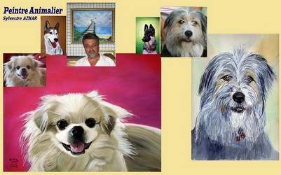 Sylvestre Aznar-Pr&eacute;sentation