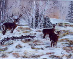 la vall&eacute;e des cerfs