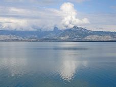 Lac de Skadar