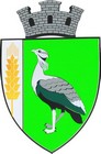 Blason de Drochia