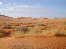 désert du Sahara