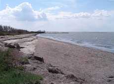 Camargue