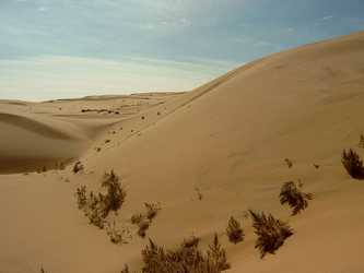désert de Gobi