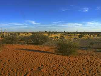 Photo du Désert du Kalahari