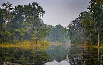 Parc national de Chitwan