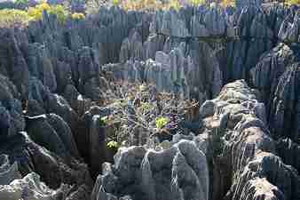 Parc national Tsingy de Bemaraha